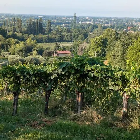 Casale Nel Mezzo Dei Vigneti *